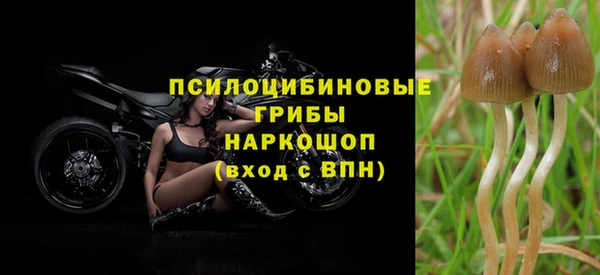МДПВ Абаза