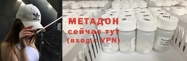 стаф Алексин